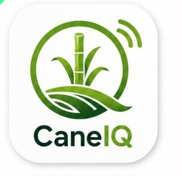 CaneIQ logo